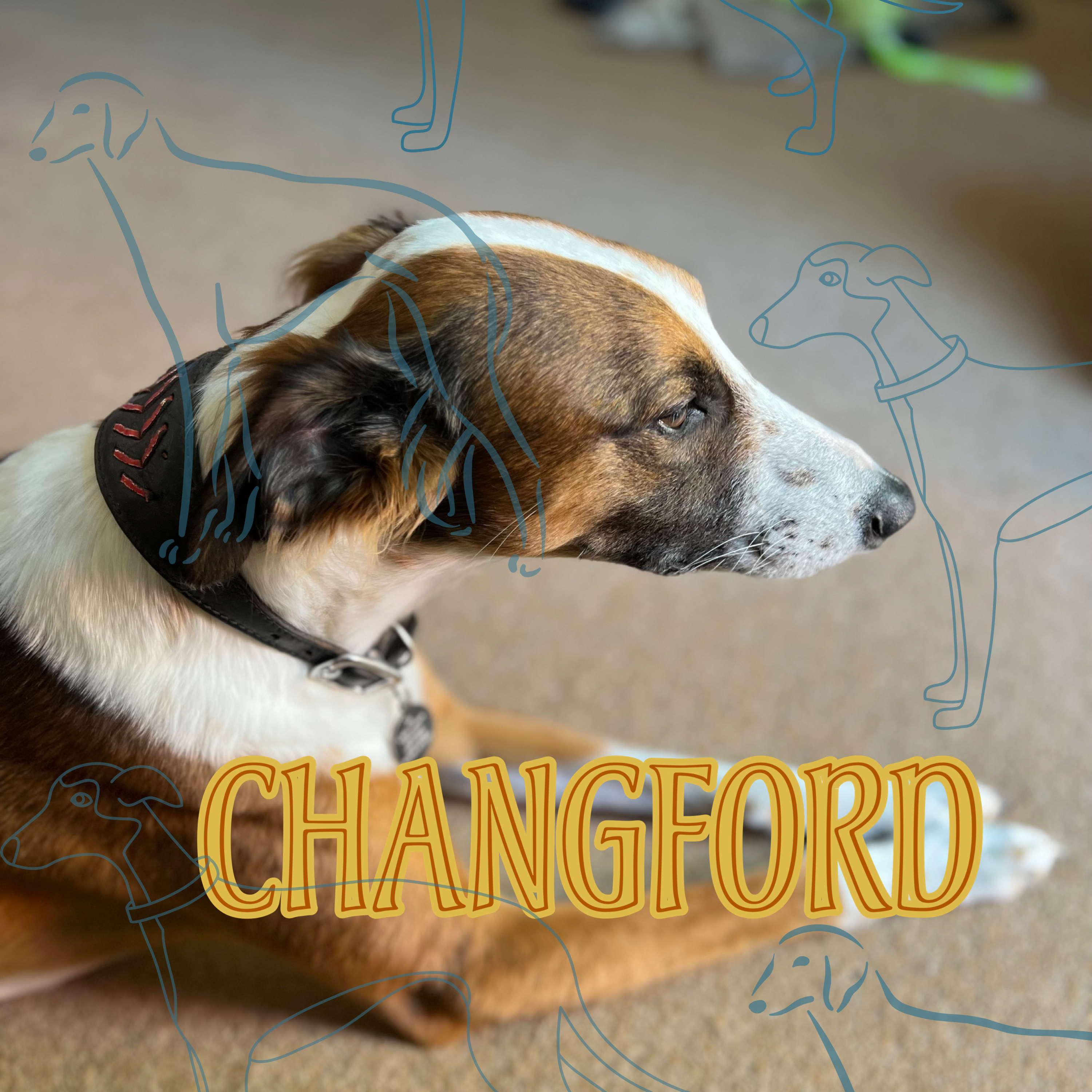 Lord Changford